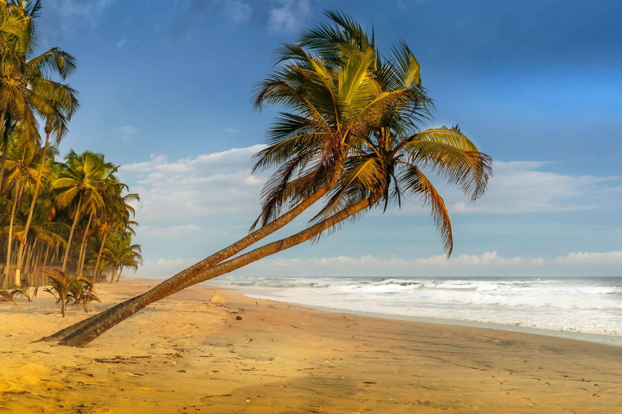 Visa Ivory Coast Online | Official Electronic visa for Ivory Coast